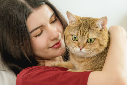 Closeup Portrait of Cute Cat in Young Woman's Arms, Bedroom Morning