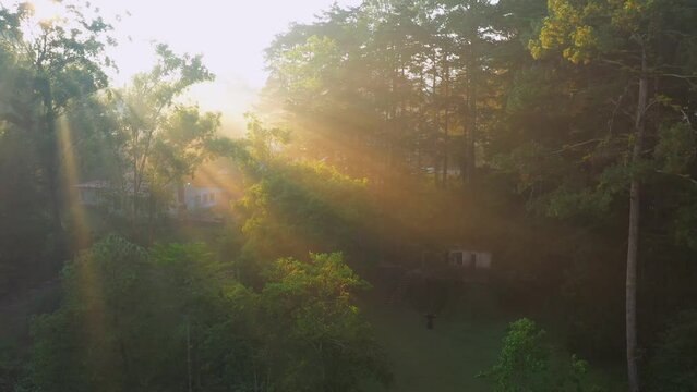 Hermoso Bosque al amanecer apreciando los primeros rayos del sol en el d&iacute;a al aire libre un d&iacute;a nublado con niebla en el exterior disfrutando del viento y de lo incre&iacute;ble que es la naturaleza paisaje 