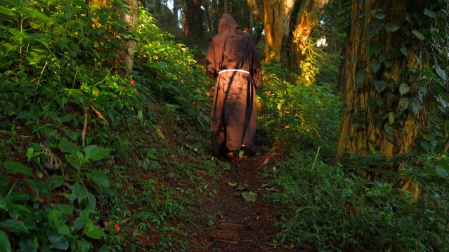 Fraile franciscano monje religioso católico, cristiano meditando orando y rezando caminando por el sendero contemplando la naturaleza en el bosque al amanecer subiendo una cuesta