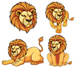 Fototapeta premium Set of lion cartoon in diffrent pose