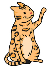 Happy spotted orange cat