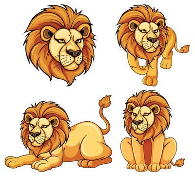 Set of lion cartoon in diffrent pose