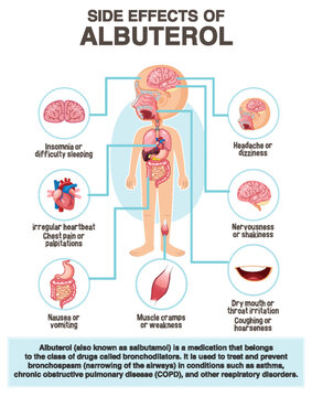 Human anatomy diagram cartoon style of albuterol side effects