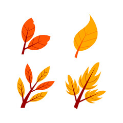 Autumn leaf or fall foliage icon. Falling poplar,  autumn leaves for decoration seasonal holiday greeting card design