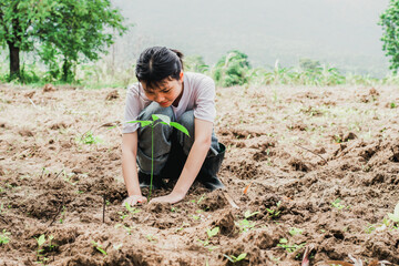 children plant trees to proteot environment