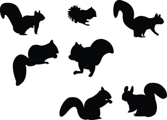 squirrel silhouette - vector