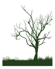 vector illustration of a tree