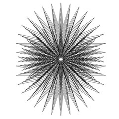 
black and white mandala pattern drawing resembling spiky flowers used for decoration 40
