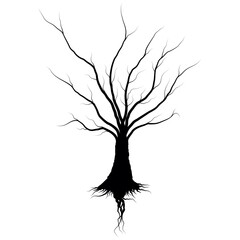 A picture of a tree with only black dry branches, there are many branches, as an art and decoration attachment.