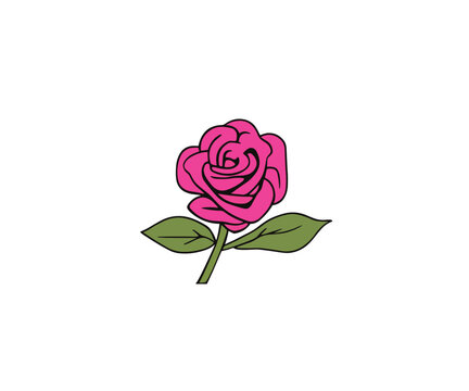 Rose illustration vector image