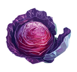 Obraz premium Fresh organic red cabbage salad