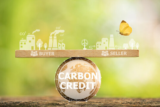 Carbon Credit Is The Amount Of Greenhouse Gases Reduced Or Stored.  And Can Be Traded In The Carbon Market With Organizations That Want Carbon Credits To Offset Greenhouse Gas Emissions.