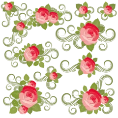 Afwasbaar Fotobehang Bloemen Roses collection, vector illustration - Illustration for your design