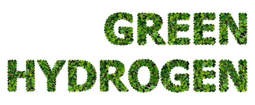 GREEN HYDROGEN text with green leaves on transparent background.