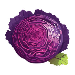 red cabbage vegetable symbolizes healthy eating