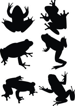 frogs collection silhouette - vector