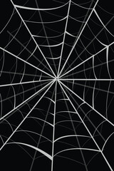 illustration of spider web