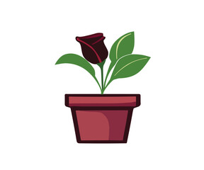 Rose Plant a flower in the pot with leaves in a vase illustration vector image