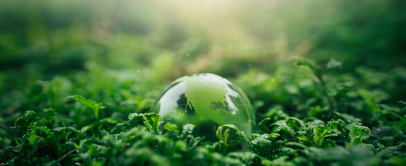 Crystal ball on moss in green forest - environment concept Ecology and Sustainable Environment of the World - Powered by Adobe