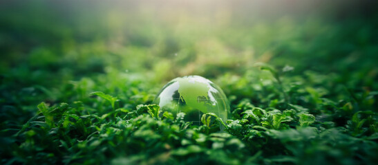 Crystal ball on moss in green forest - environment concept Ecology and Sustainable Environment of the World - obrazy, fototapety, plakaty