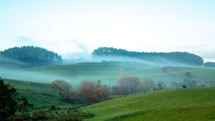 landscape with fog