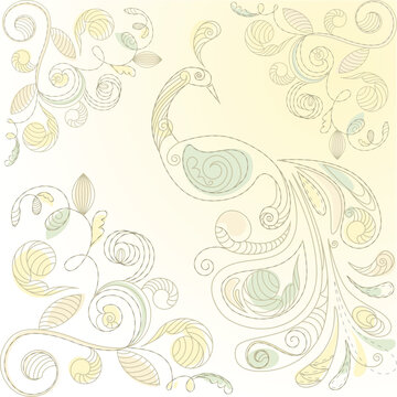 vector floral  background with peacock