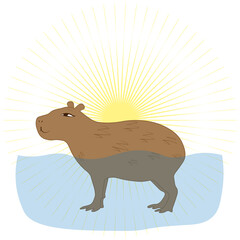 Satisfied capybara against the background of the sun