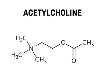 Acetylcholine molecular structure. Acetylcholine is neurotransmitter with important role in human body. Vector structural formula of chemical compound.