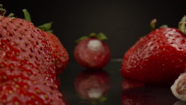 Macro slider shot through rotten strawberries