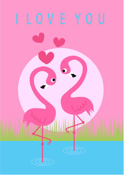 I love you card with two cute flamingo birds