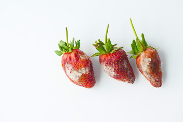 Gray Mold on strawberries on table ,