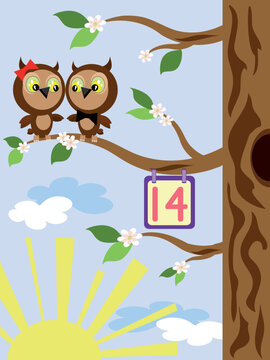 Two owls