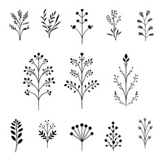 装飾用の植物シルエット　ベクター素材