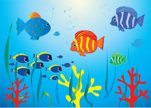 vector illustration of tropical fishes under water