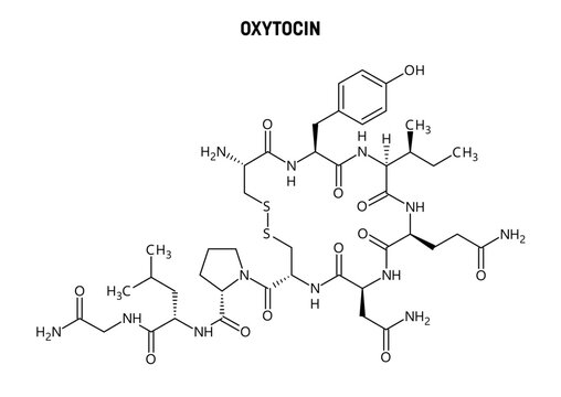 Oxytocin molecular structure. Oxytocin, the hormone of love, produced in the hypothalamus. Important role in reproduction, childbirth and social bonding. Vector structural formula of chemical compound