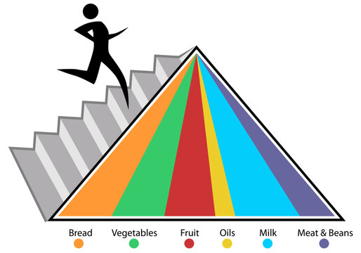 An image of a food pyramid chart.