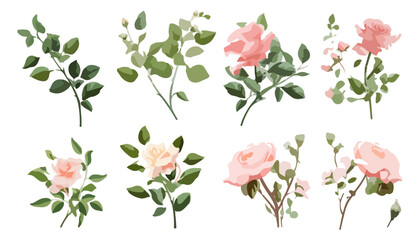 Set watercolor elements of pink roses; collection garden flowers; leaves; Branches, Watercolor floral seamless pattern with colorful wildflowers, leaves, plants, Wedding background.