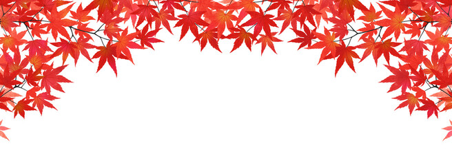 紅葉したモミジのフレーム（バナー向け横長）