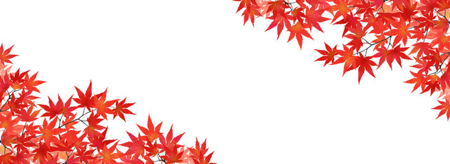 紅葉したモミジのフレーム（バナー向け横長）