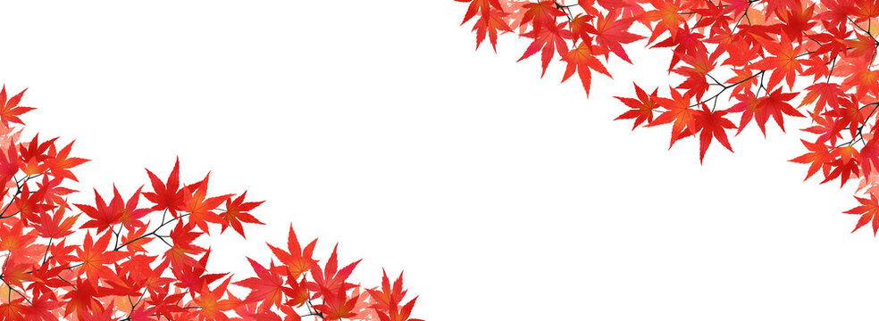 紅葉したモミジのフレーム（バナー向け横長）
