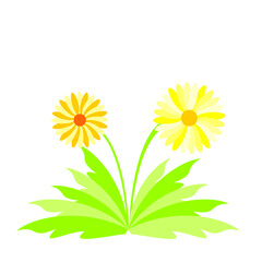 Illustration spring flowers - vector