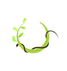 Concept illustration of branch at green leaf and snake - vector