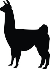 lama silhouette - vector