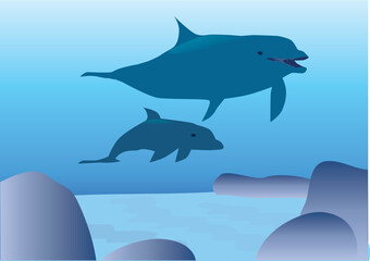 vector illustration of dolphins