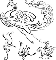 Fototapeta premium bird illustration