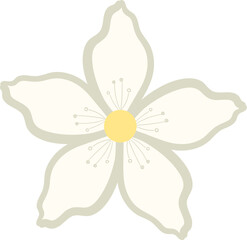 jasmine white flower icon 