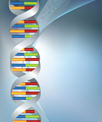 dna coloured strands on a silver background with room for text