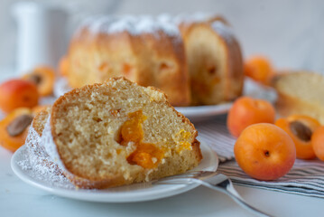 sweet home made apricot sponge cake