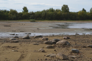 Drying bottom of the river against the background of a natural landscape - shore, trees, sky.