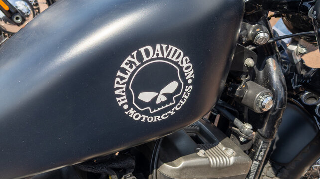 harley davidson brand logo and text sign skull on tank fuel motorcycle chopper motorbike of american custom bike